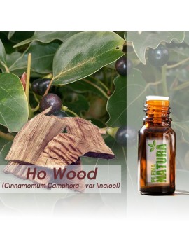 Ho Wood (Madeira de Ho) - Óleo Essencial